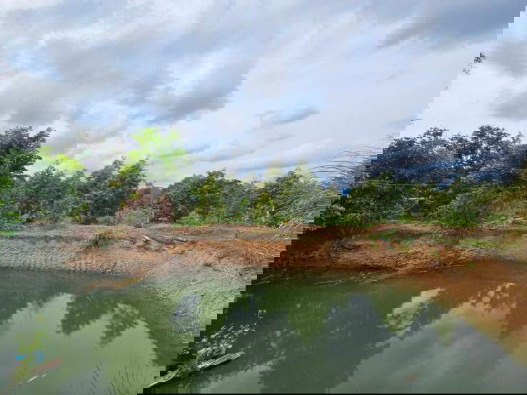 picture Land for sale with fruit orchard, 5 rai, Na Yai Am District, Chanthaburi. - 7/12