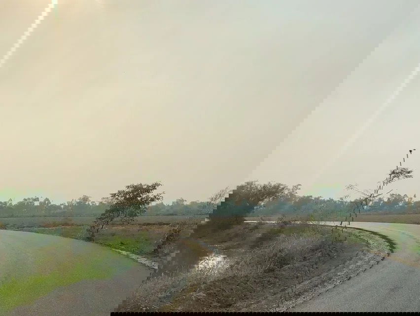 รูป ขายที่ดินเปล่า นครนายก 2 ไร่ 3 งาน ติดชลประทาน ใกล้ตัวเมือง เหมาะทำเกษตร/บ้านสวน - รูปที่ 3/5