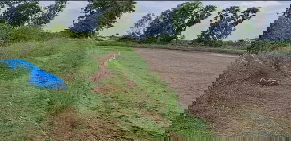 รูป ขายที่ดินเปล่า นครนายก 2 ไร่ 3 งาน ติดชลประทาน ใกล้ตัวเมือง เหมาะทำเกษตร/บ้านสวน - รูปที่ 2/5