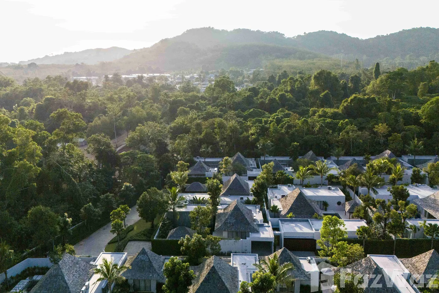 picture Anchan Flora 5934377 - 3/29