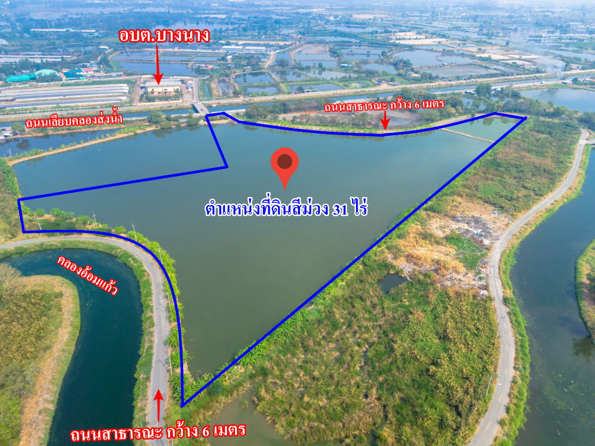 รูป ขายที่สีม่วง  31  ไร่ ใกล้ถนนเลียบมอเตอร์เวย์ สาย 7 ใกล้นิคมอมตะ ชลบุรี  ต.บางนาง อ.พานทอง จ.ชลบุรี - รูปที่ 7/9