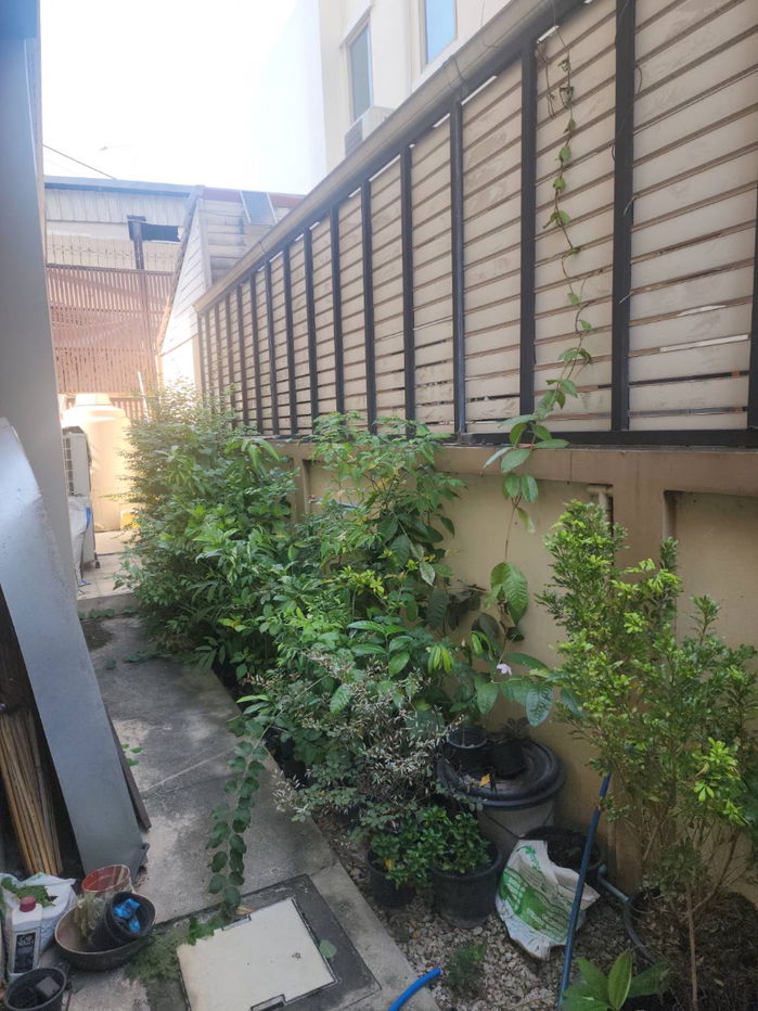 รูป บ้าน นนทรี รีเจ้นท์ ราชพฤกษ์  3 ชั้น, ที่ดิน 68.8 ตรว. - รูปที่ 7/15