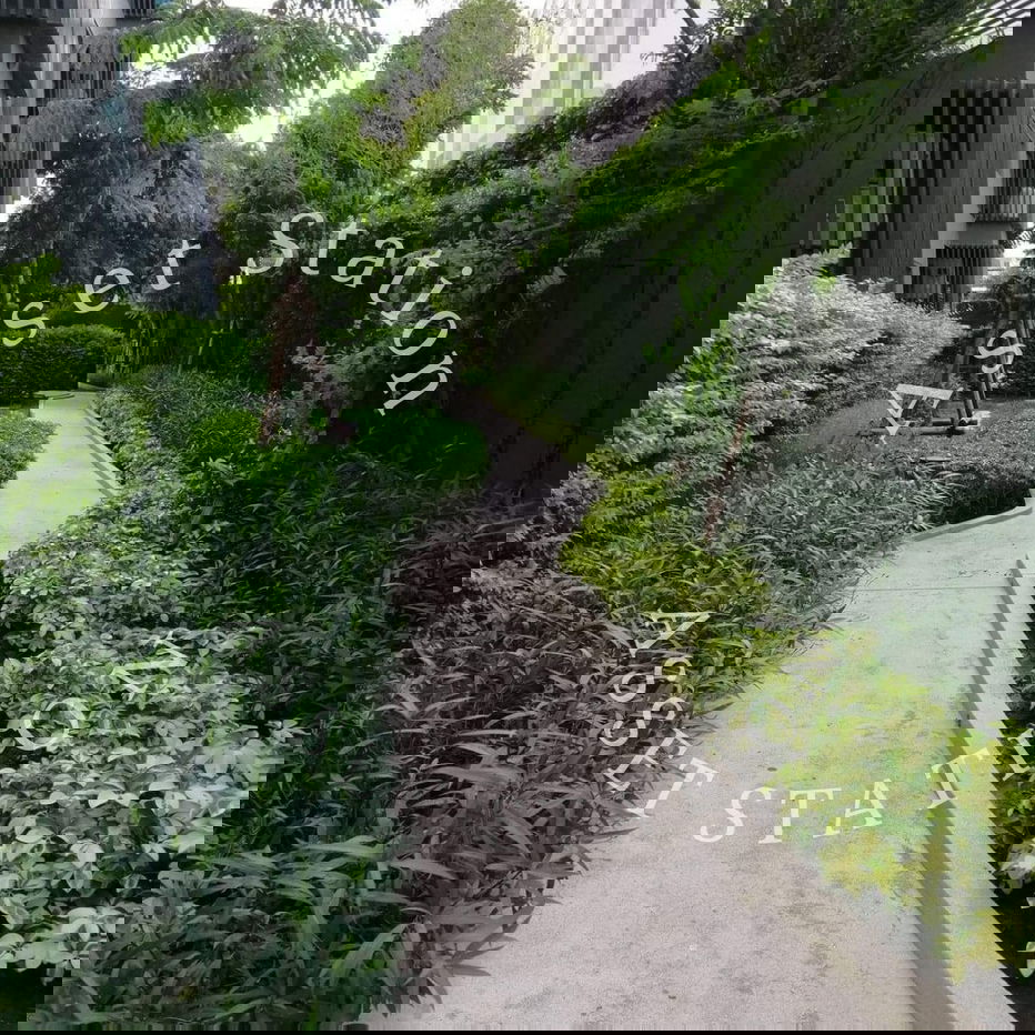 รูป คอนโด low rise‼️MetroLuxe Rose Glold พหลโยธิน-สุทธิสาร ใกล้รถไฟฟ้า เดินทางสะดวก 🚆 BTS สะพานควาย  - รูปที่ 17/18