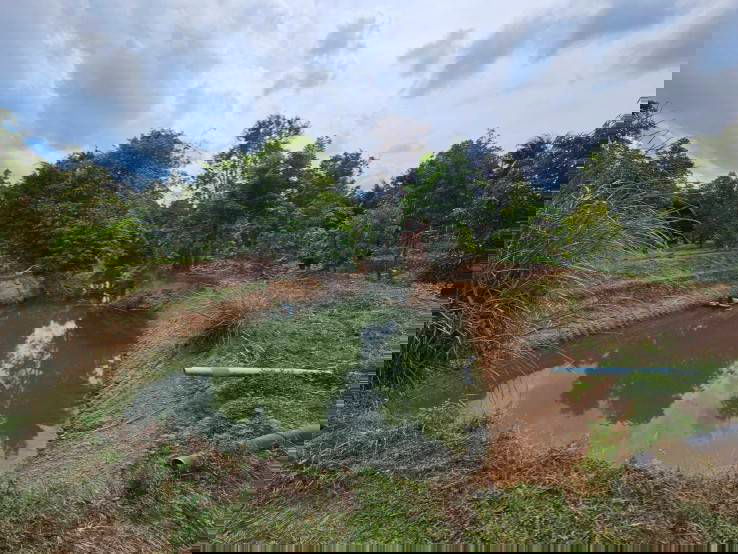 picture Land for sale with fruit orchard, 5 rai, Na Yai Am District, Chanthaburi. - 6/12