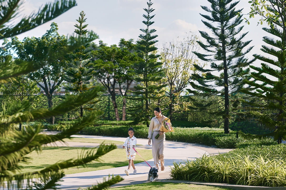 รูป ขายบ้านมือ 1 จากโครงการ the City ดอนเมือง แจ้งวัฒนะ  | ติดต่อฝ่ายขาย : 061-6598997- Line OA : @Newlight (มี@) - รูปที่ 6/14