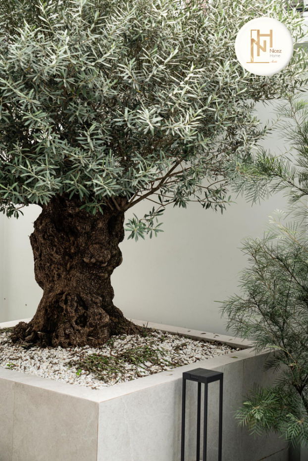 รูป ขายบ้านเดี่ยวโมเดิร์น  สไตล์อบอุ่น แต่งสวย ใกล้ mrt ลาดพร้าว - รูปที่ 44/50