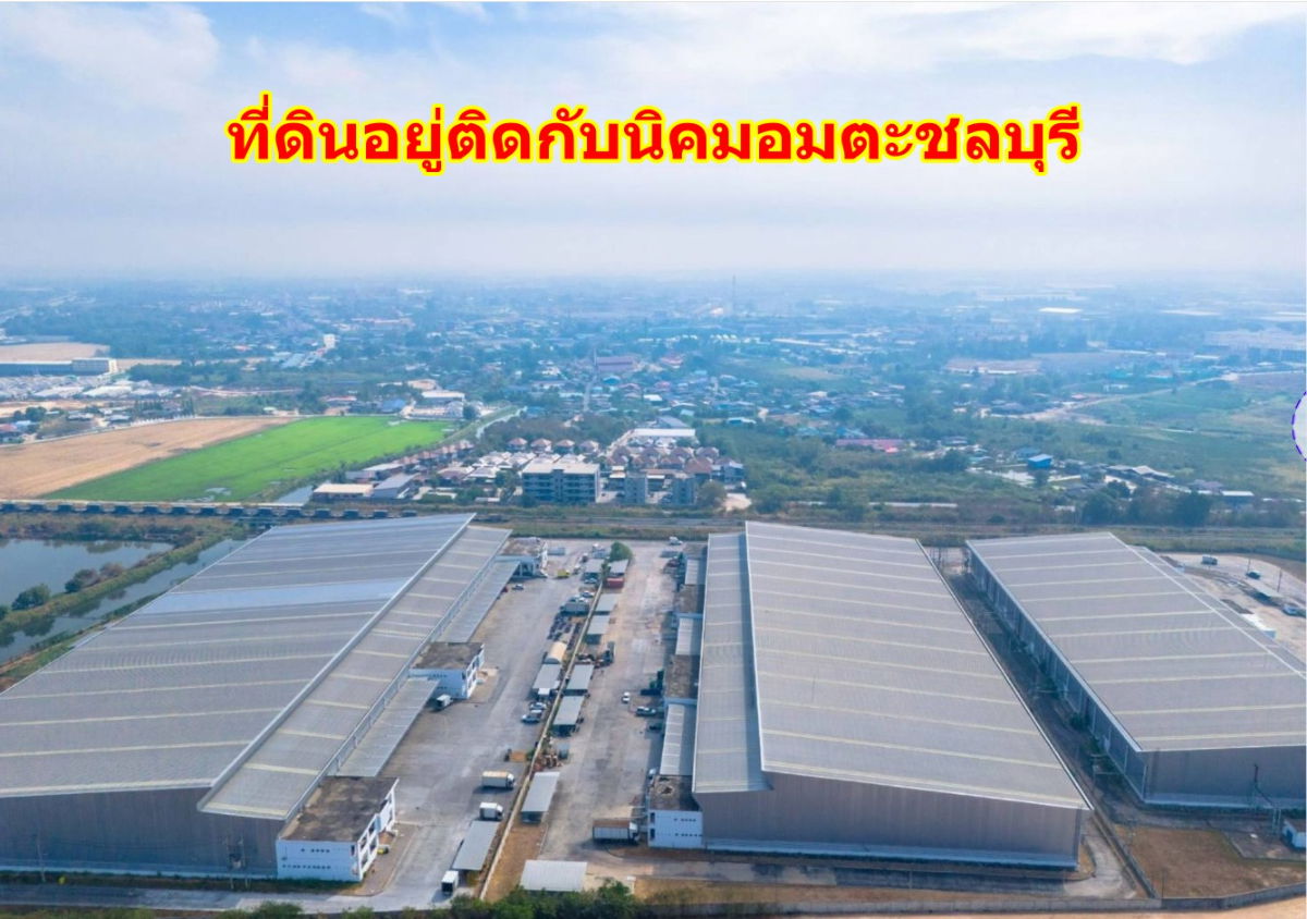 รูป ขายที่สีม่วง  31  ไร่ ใกล้ถนนเลียบมอเตอร์เวย์ สาย 7 ใกล้นิคมอมตะ ชลบุรี  ต.บางนาง อ.พานทอง จ.ชลบุรี - รูปที่ 4/9