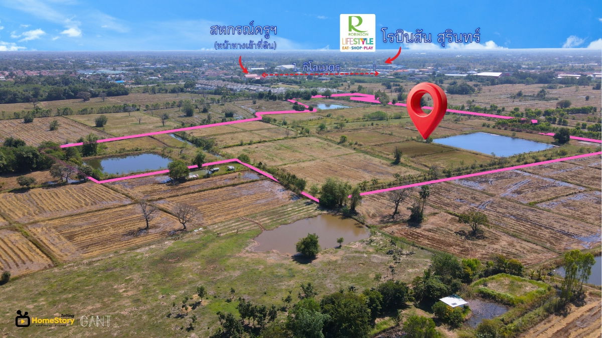 รูป ขายที่ดินแปลงสวย 74 ไร่ เหมาะทำโครงการจัดสรร ใกล้โรบินสัน สุรินทร์เพียง 1 กม. (Gant-314) - รูปที่ 4/8