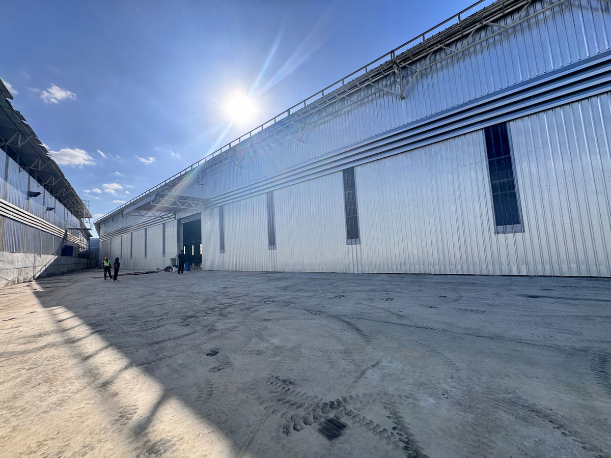 picture Kdkcjooisisjbnlppjjccccjjkmdsds - 1/16