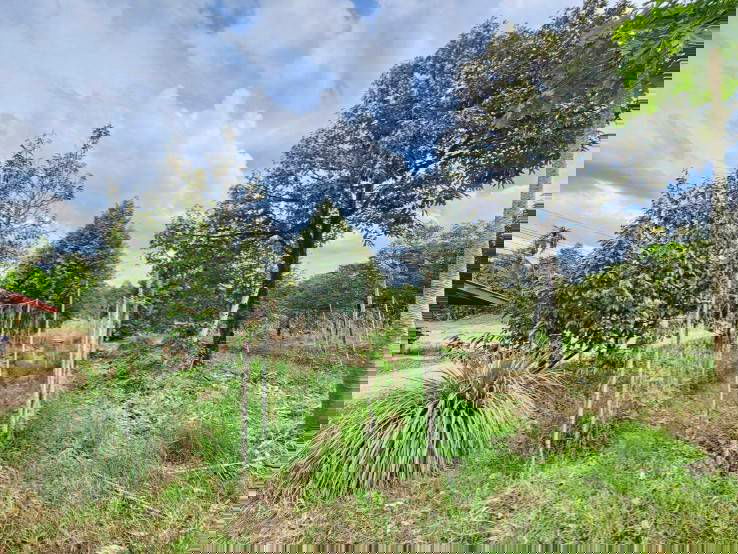 picture Land for sale with fruit orchard, 5 rai, Na Yai Am District, Chanthaburi. - 11/12