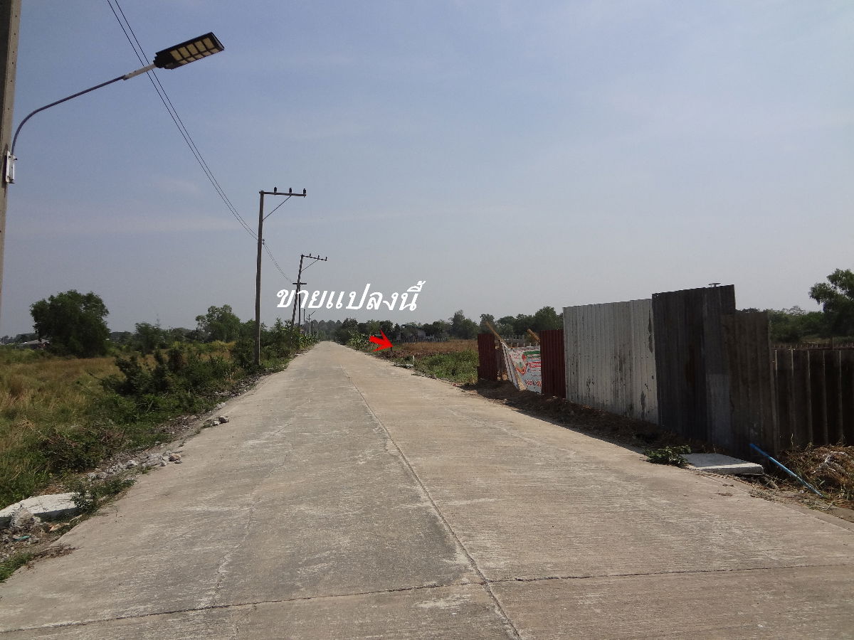 รูป ที่ดินคลองหลวงคลองสี่ เนื้อที่2งาน ซ.เพชรสมหวังออกถนนตัดใหม่เข้าเลียบคลองแอนได้ จากถนนใหญ่คลองหลวงเพียง3กม.เหมาะทำโกดัง/ปลูกบ้านพักอาศัย - รูปที่ 1/6