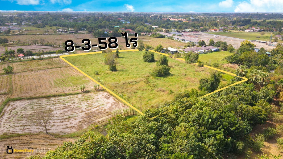 รูป ขาย ที่ดินแปลงสวย เกือบ9ไร่ เหมาะทำบ้านจัดสรร อ.แปลงยาว จ.ฉะเชิงเทรา (Gant-310) - รูปที่ 4/6