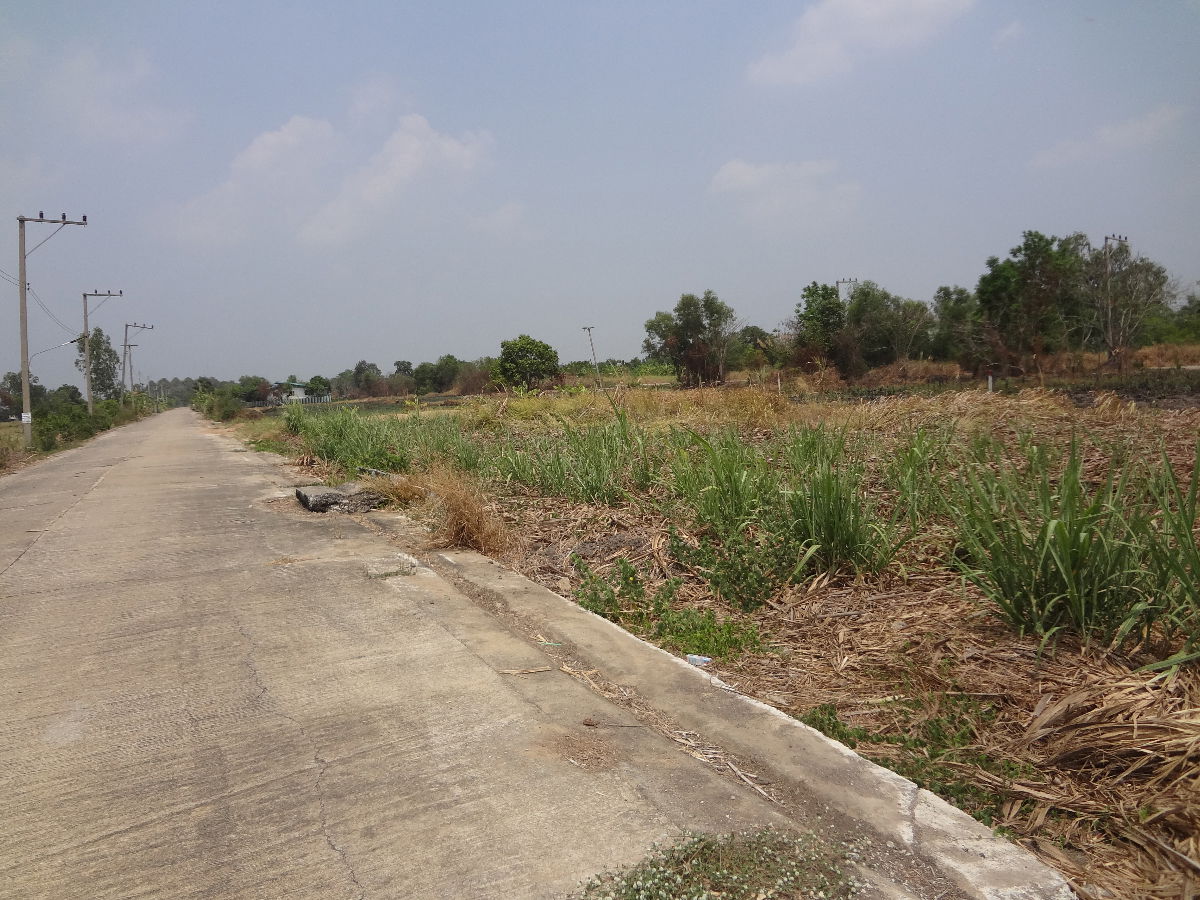 รูป ที่ดินคลองหลวงคลองสี่ เนื้อที่2งาน ซ.เพชรสมหวังออกถนนตัดใหม่เข้าเลียบคลองแอนได้ จากถนนใหญ่คลองหลวงเพียง3กม.เหมาะทำโกดัง/ปลูกบ้านพักอาศัย - รูปที่ 2/6