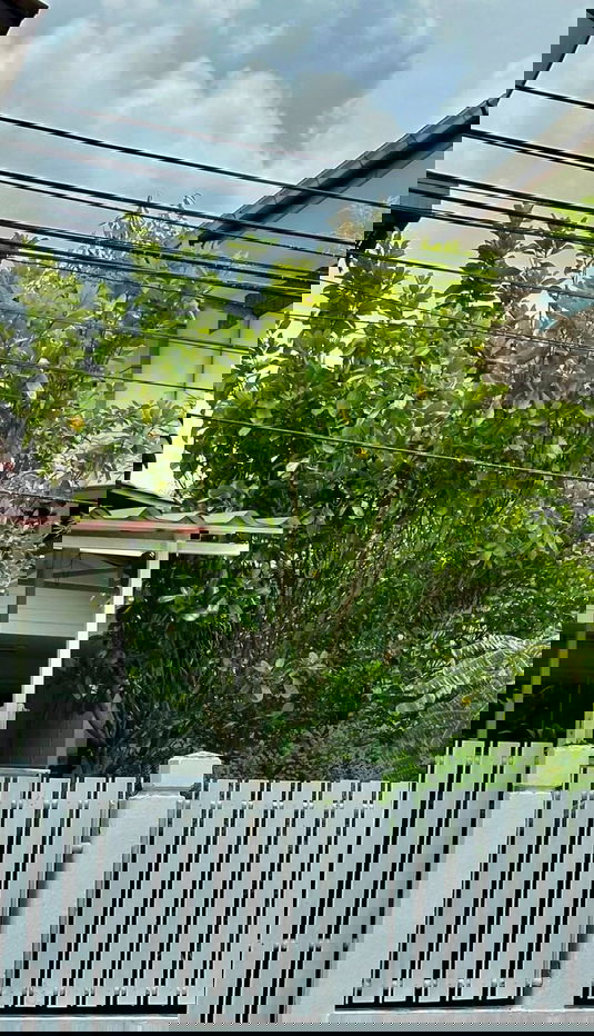 รูป HR3106ขายบ้านเดี่ยวหลังใหญ่ 70 ตร.ว. หมู่บ้านชัยพฤกษ์ รามอินทรา – วัชรพล (เฟส 2) พื้นที่กว้างขวาง    บรรยากาศร่มรื่น ทำเลศักยภาพเชื่อมต่อทุกความสะดวก - รูปที่ 1/9