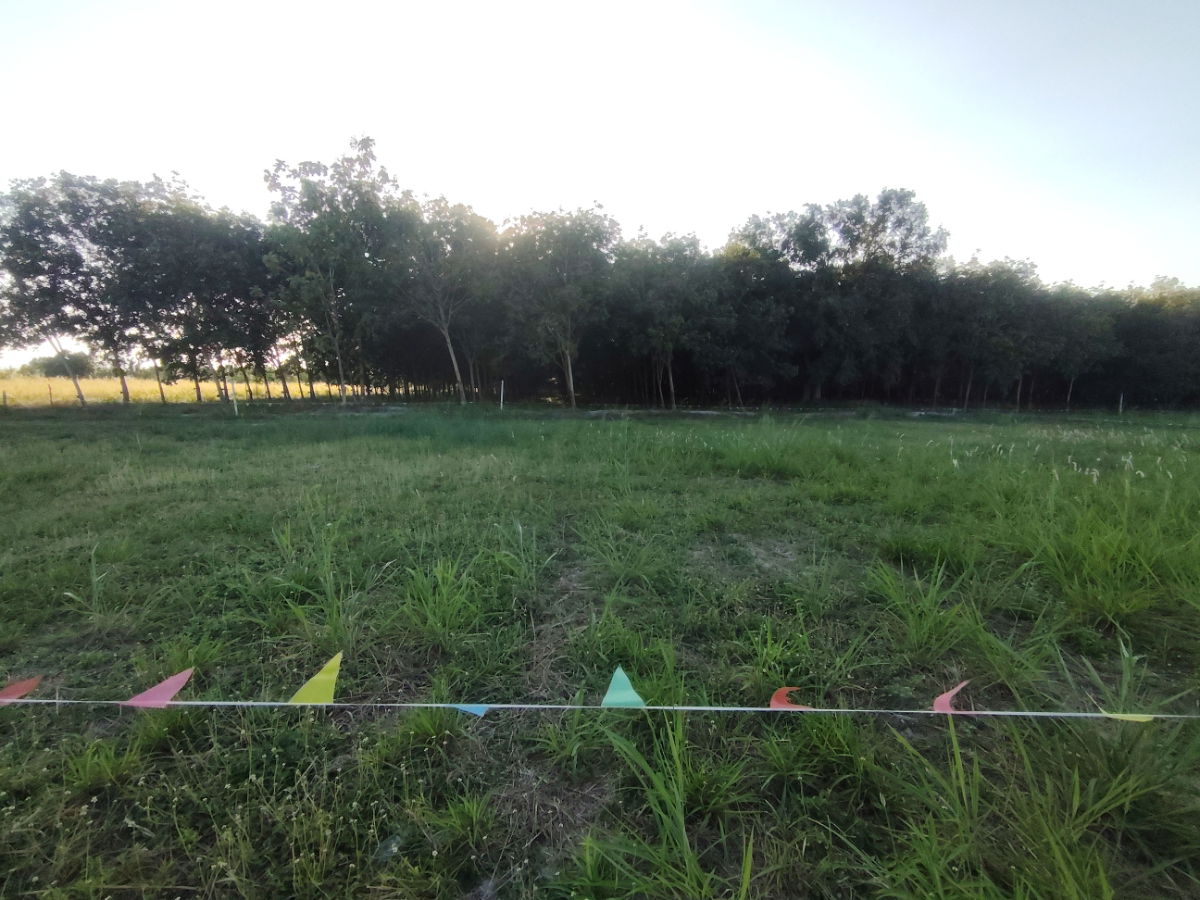 รูป ขายที่ดินแปลงสวยเหมาะสร้างบ้าน ขนาด  1-0-0  ไร่   ทำเลดี ใกล้ตัวเมืองหัวหิน  - รูปที่ 4/9