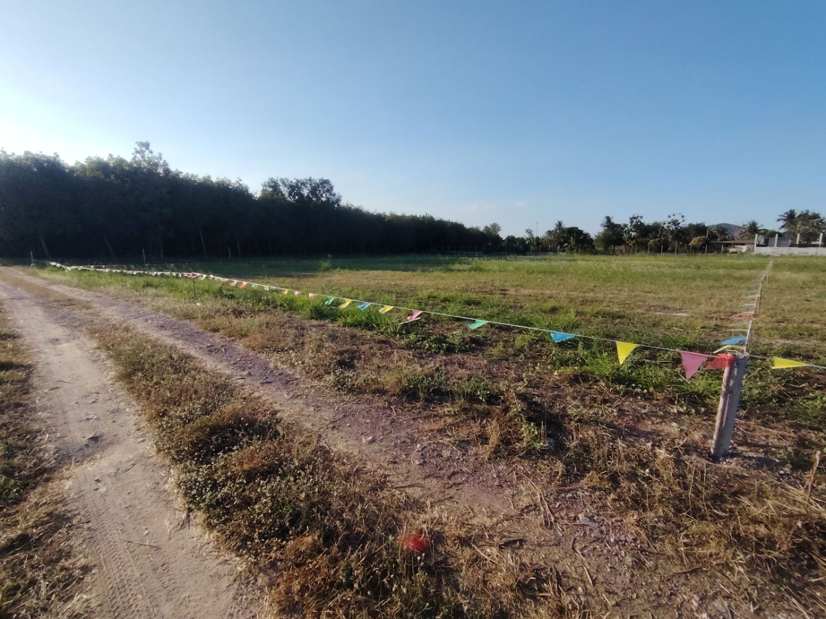 รูป ที่ดินทำเลดี ขนาด 1-0-0  ไร่  ที่ดินแปลงสวย เหมาะสำหรับสร้างบ้าน - รูปที่ 2/9
