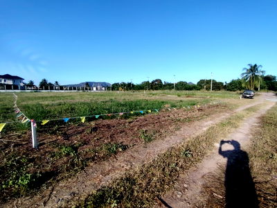 Land for sale ม.ศิลปากรวิทยาเขตสารสนเทศเพชรบุรี : 1-0-0 Rai | Nice Home Building Plot  Highly Sought After Residential Area!