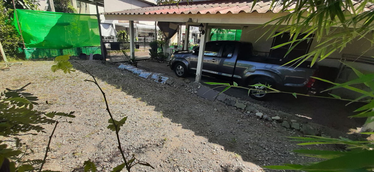 รูป ขายบ้านสันป่าตอง 40 ตรว ราคา 1 ล้าน - รูปที่ 2/3