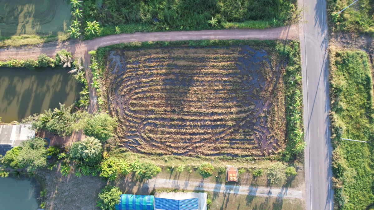 รูป ที่ดิน 1 ไร่ 110 ตารางวา มีโฉนด ต.ศรีจุฬา ติดถนนโยธาธิการ รูปสี่เหลี่ยมสวย ขายถูก - รูปที่ 11/20