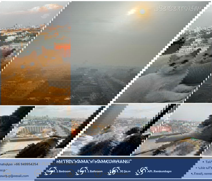 รูป [For Sale] *ห้องมุม* Metris Rama 9 - Ramkumhang คอนโด Pet Friendly ใกล้ AirportLink รามคำแหง 🐾   - รูปที่ 11/21