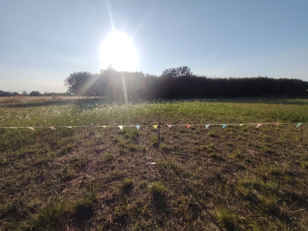 รูป ที่ดินทำเลดี ขนาด 1-0-0  ไร่  ที่ดินแปลงสวย เหมาะสำหรับสร้างบ้าน - รูปที่ 8/9