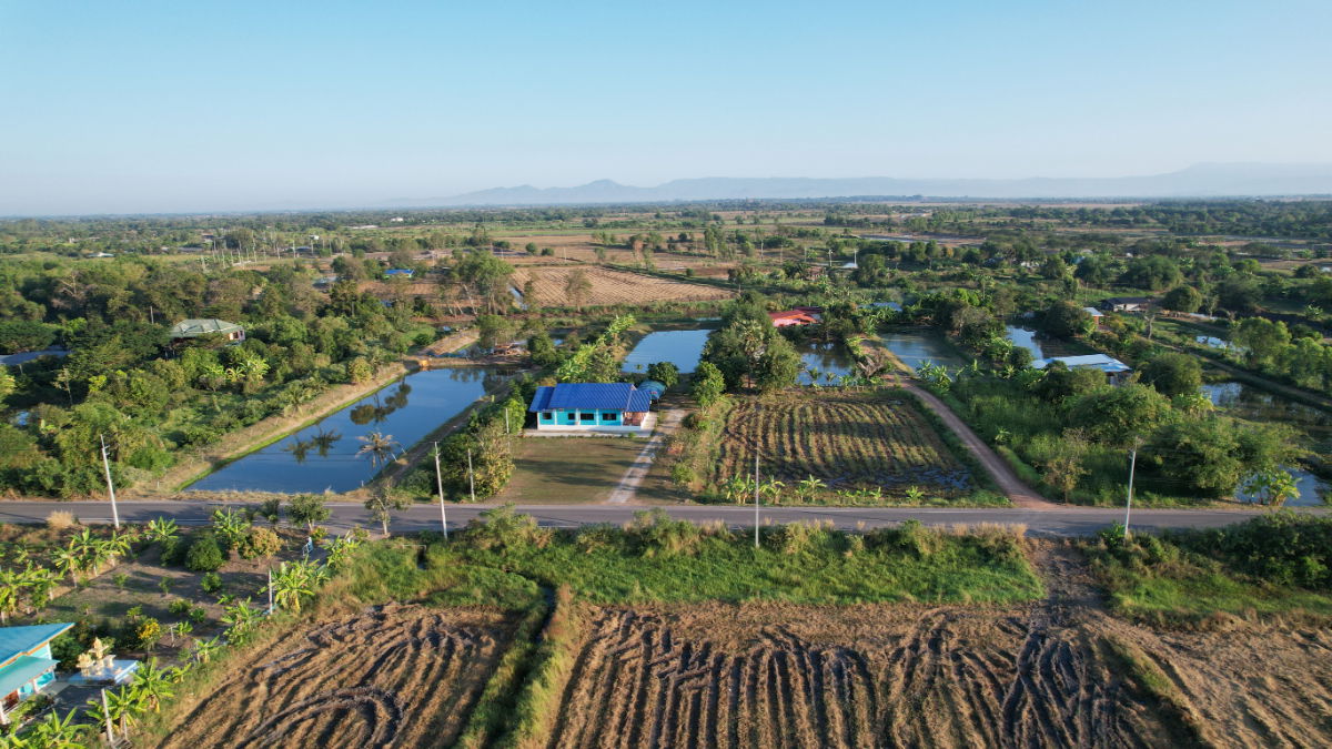 รูป ที่ดิน 1 ไร่ 110 ตารางวา มีโฉนด ต.ศรีจุฬา ติดถนนโยธาธิการ รูปสี่เหลี่ยมสวย ขายถูก - รูปที่ 4/20