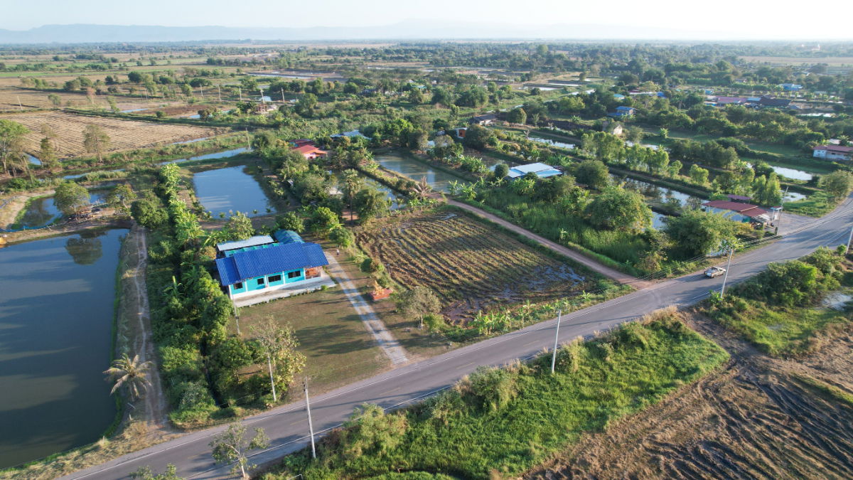 รูป ที่ดิน 1 ไร่ 110 ตารางวา มีโฉนด ต.ศรีจุฬา ติดถนนโยธาธิการ รูปสี่เหลี่ยมสวย ขายถูก - รูปที่ 10/20