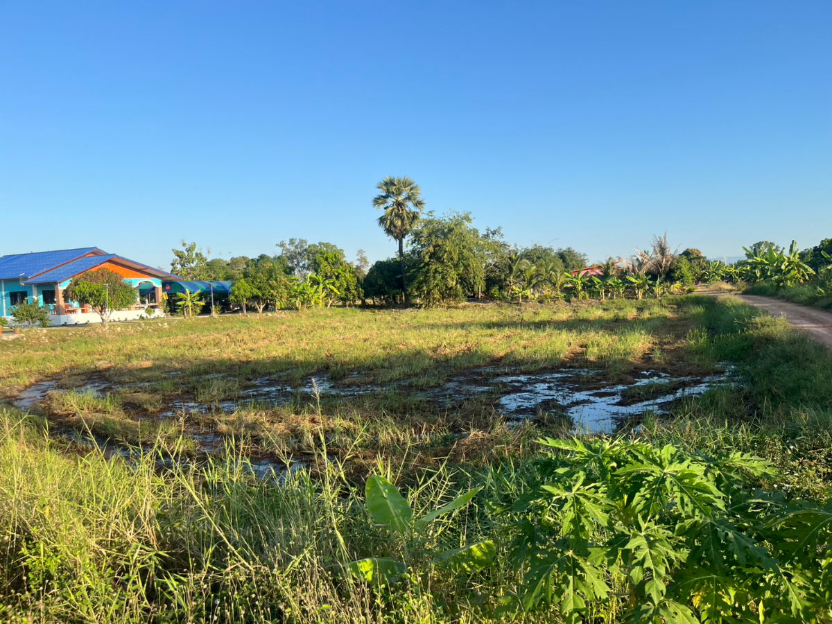 รูป ที่ดิน 1 ไร่ 110 ตารางวา มีโฉนด ต.ศรีจุฬา ติดถนนโยธาธิการ รูปสี่เหลี่ยมสวย ขายถูก - รูปที่ 19/20