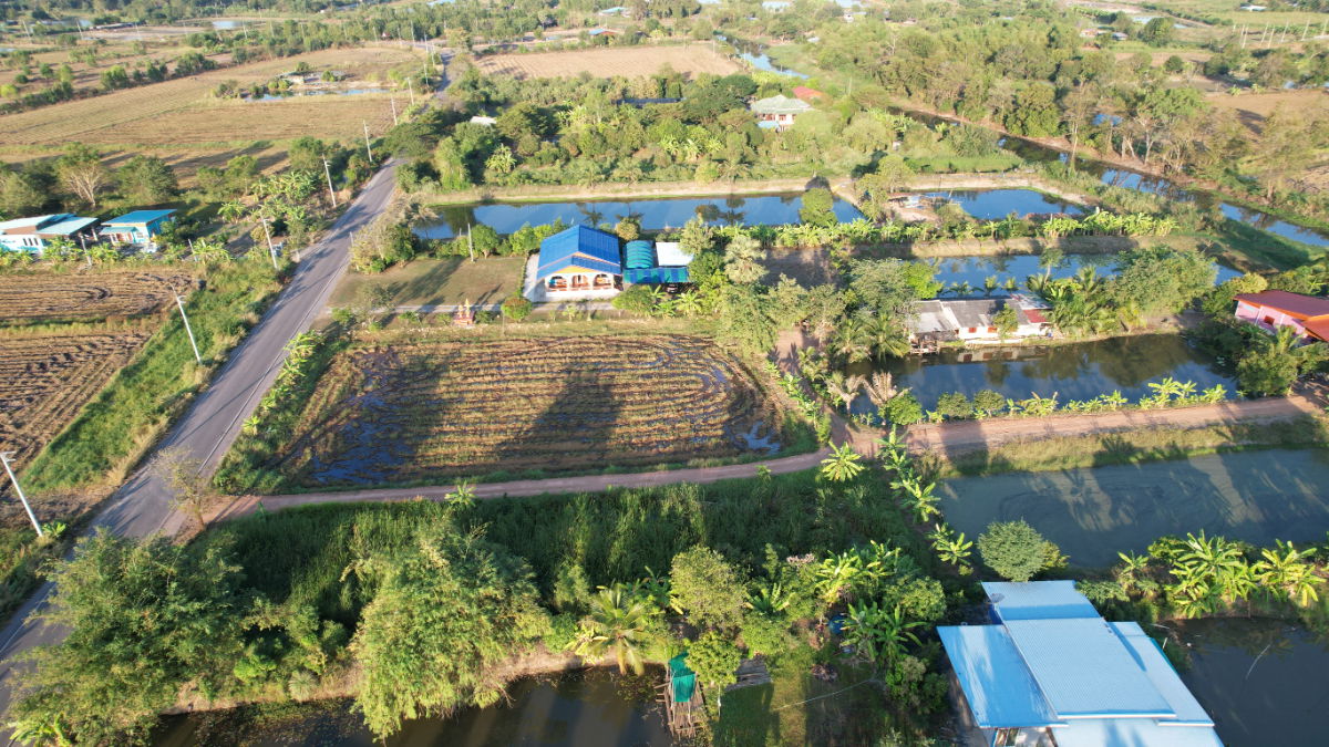 รูป ที่ดิน 1 ไร่ 110 ตารางวา มีโฉนด ต.ศรีจุฬา ติดถนนโยธาธิการ รูปสี่เหลี่ยมสวย ขายถูก - รูปที่ 5/20