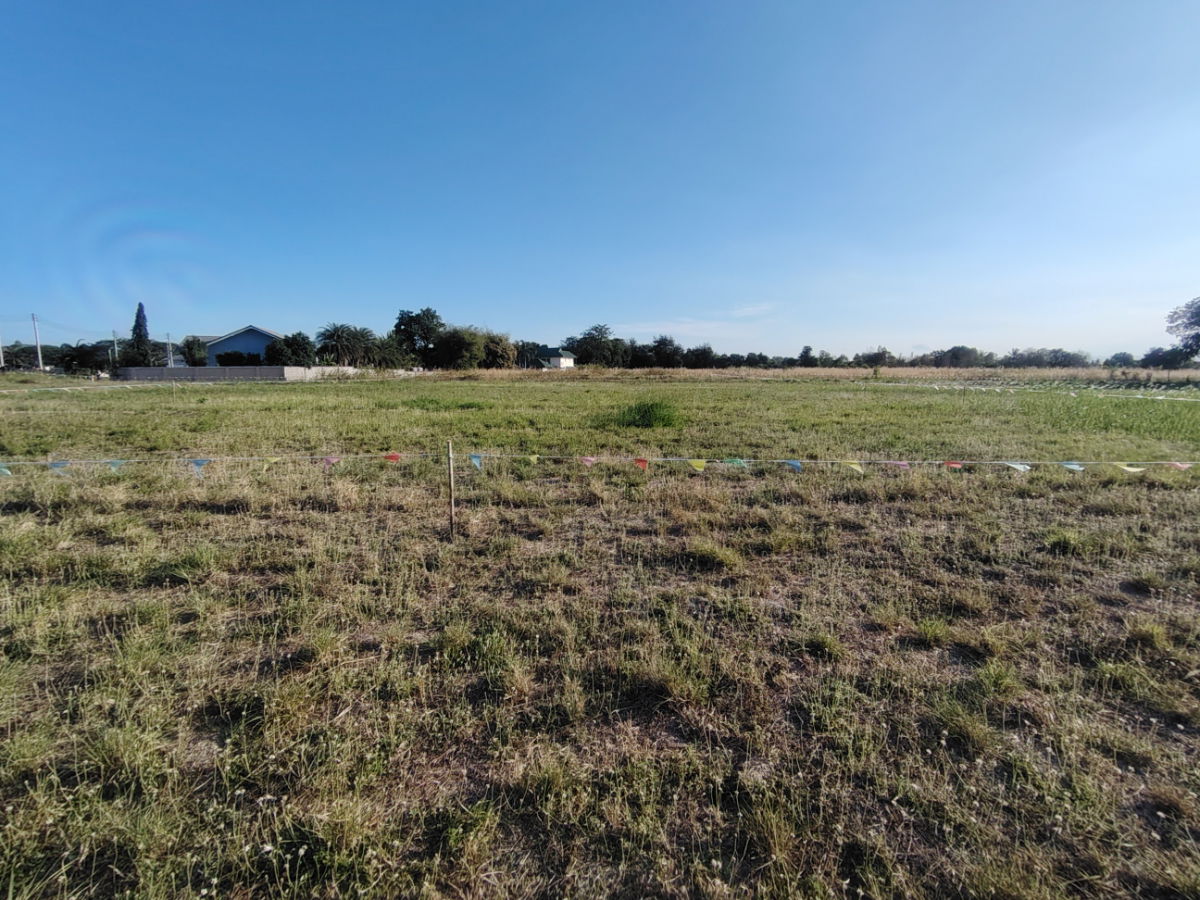 picture 1-0-0 Rai | Nice Home Building Plot  Highly Sought After Residential Area! - 6/9