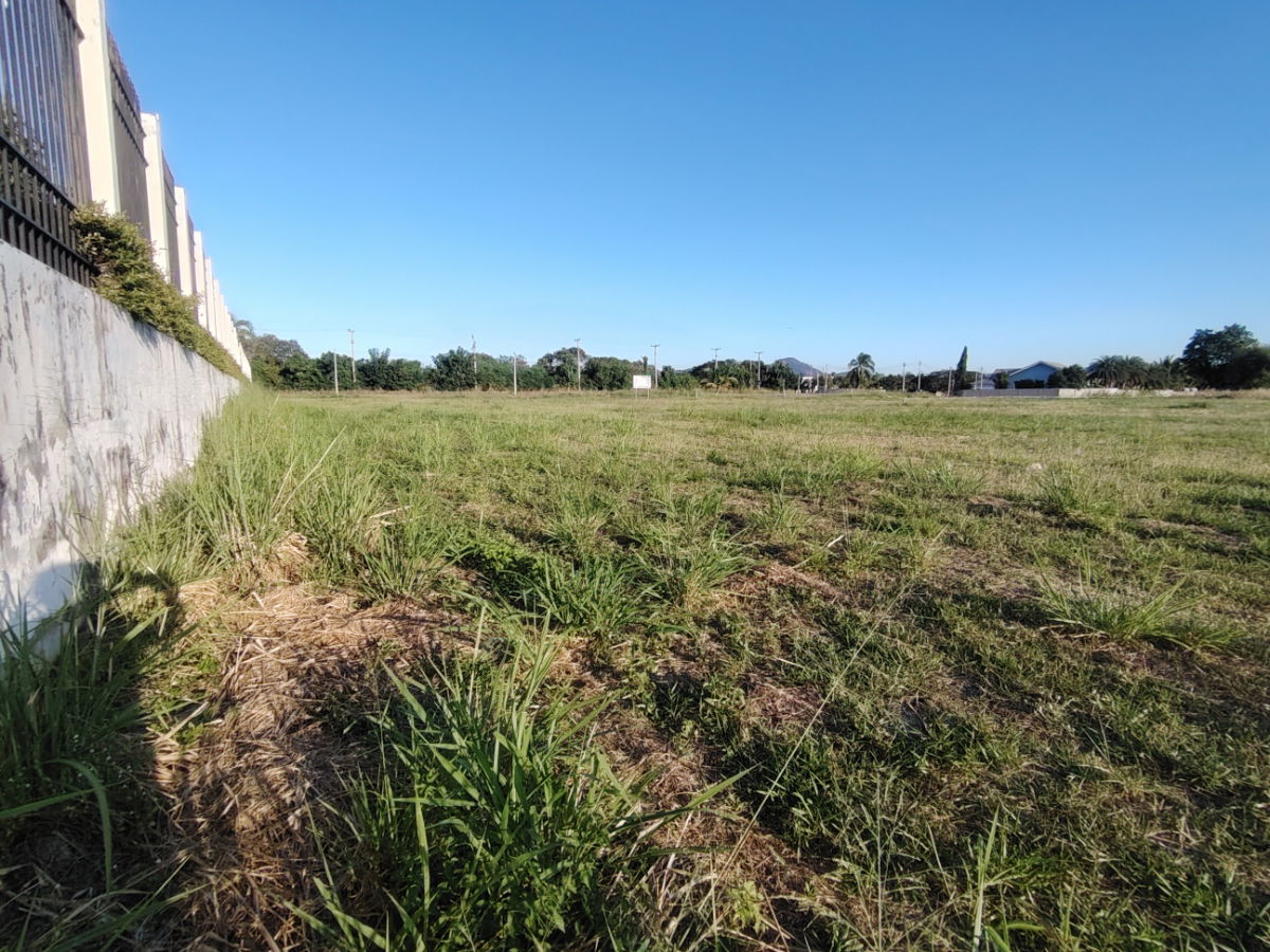 รูป ที่ดินขนาด 5 ไร่ เหมาะสำหรับการพัฒนาโครงการที่อยู่อาศัย  ที่ดินอยู่ในพื้นที่อยู่อาศัยที่กำลังเติบโตอย่างรวดเร็ว - รูปที่ 5/10