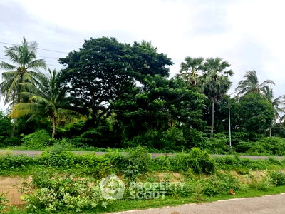 Land for rent : 24,000 m² Land for Rent in Ton Maphrao (ID 2501955)