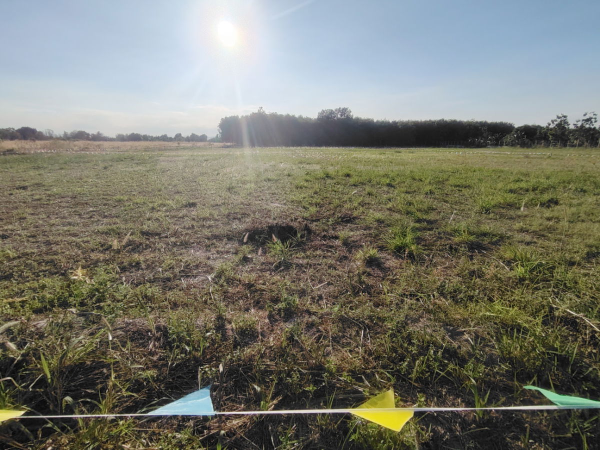 รูป ขายที่ดินแปลงสวย 1-0-0  ไร่  เหมาะสำหรับสร้างบ้าน  ทำเลทอง ใกล้สนามกอล์ฟแบล็คเมาน์เทน  - รูปที่ 7/9