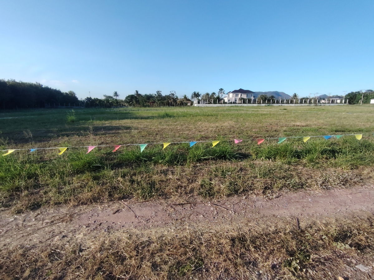รูป ที่ดินทำเลดี ขนาด 1-0-0  ไร่  ที่ดินแปลงสวย เหมาะสำหรับสร้างบ้าน - รูปที่ 3/9