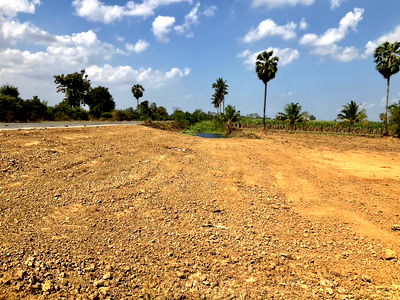 ที่ดิน สุพรรณบุรี : ขายที่ดินติดลาดยาง 100 ตร.ว. เหมาะปลูกบ้าน สองพี่น้อง สุพรรณบุรี