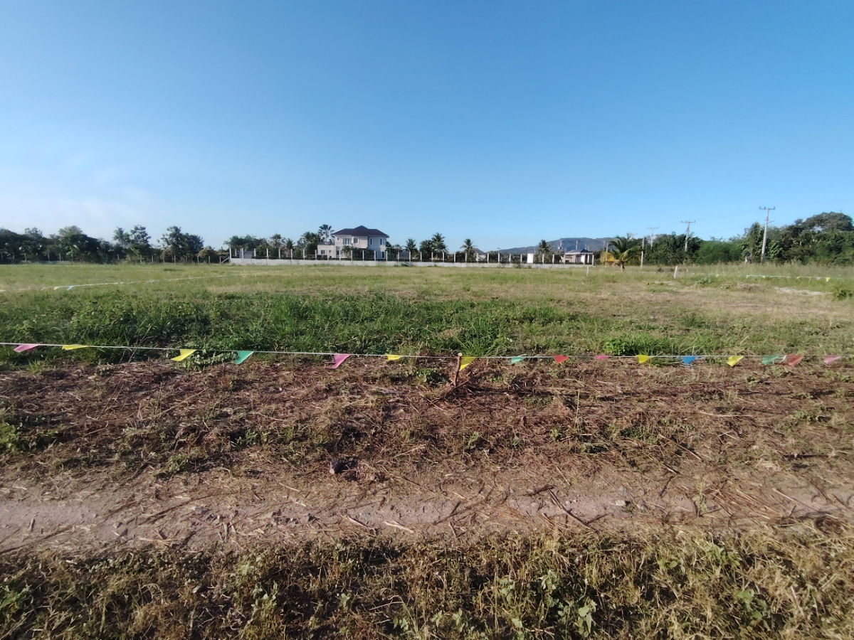 รูป ขายที่ดินแปลงสวย 1-0-0  ไร่  เหมาะสำหรับสร้างบ้าน  ทำเลทอง ใกล้สนามกอล์ฟแบล็คเมาน์เทน  - รูปที่ 2/9