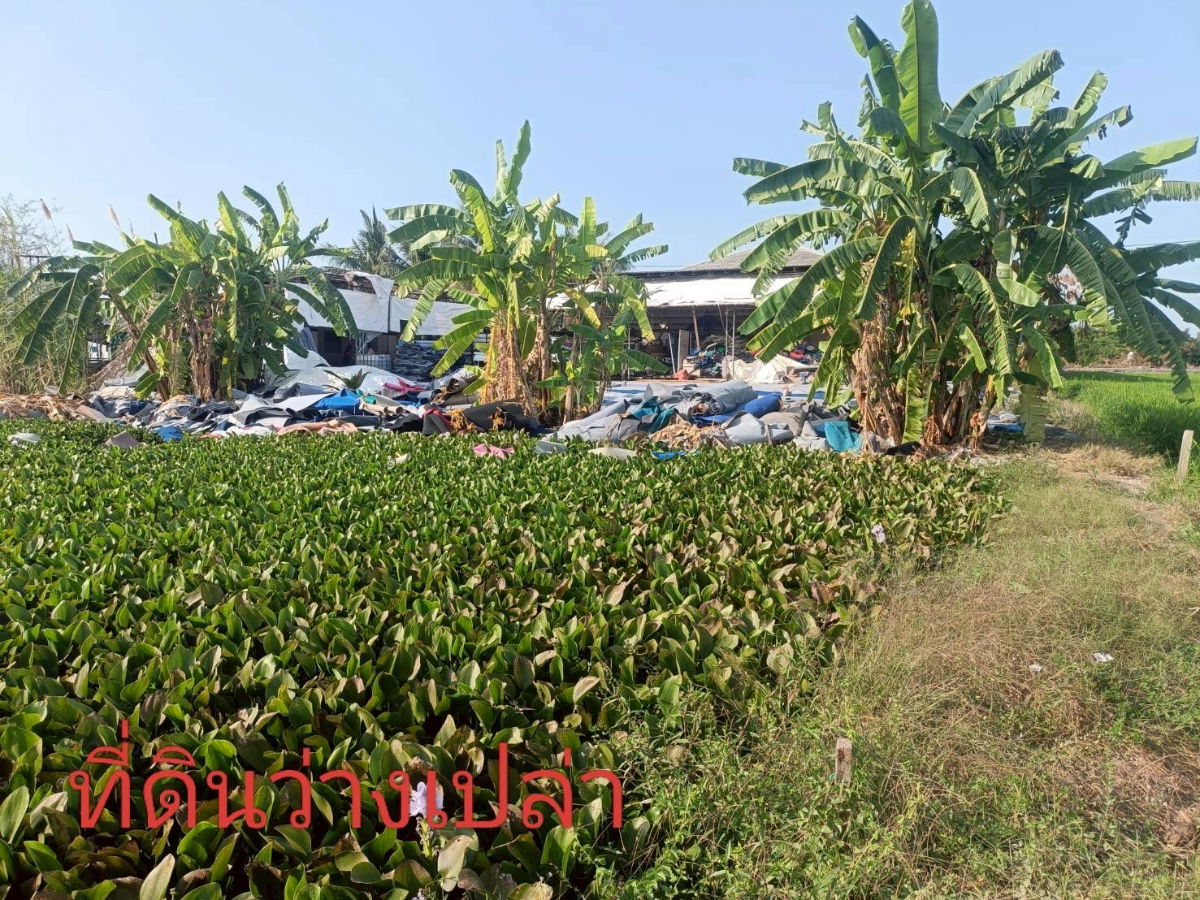 รูป โฮมออฟิศ โกดัง บ้านพักคนงาน เนื้อที่ 2 ไร่ ซอยเลียบคลองหลุมลี ตำบลบ้านใหม่ อำเภอบางใหญ่ จังหวัดนนทบุรี - รูปที่ 14/17