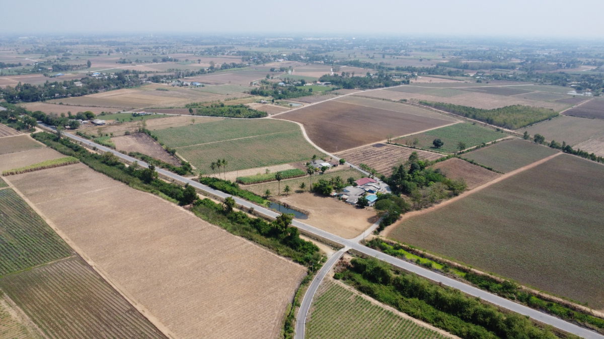 รูป ขายที่ดินติดลาดยาง 100 ตร.ว. เหมาะปลูกบ้าน สองพี่น้อง สุพรรณบุรี - รูปที่ 5/5