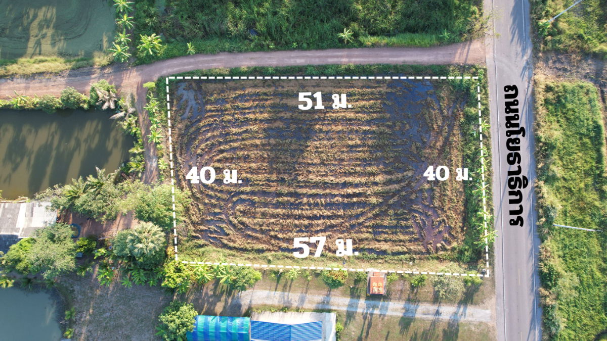 รูป ที่ดิน 1 ไร่ 110 ตารางวา มีโฉนด ต.ศรีจุฬา ติดถนนโยธาธิการ รูปสี่เหลี่ยมสวย ขายถูก - รูปที่ 2/20