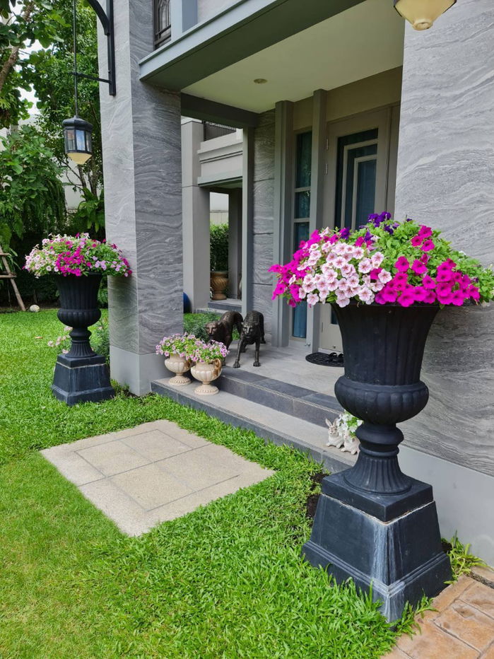 รูป ขายบ้านเดี่ยว 2 ชั้น หมู่บ้าน นาราสิริ พระราม 2 134 ตารางวา - รูปที่ 2/4