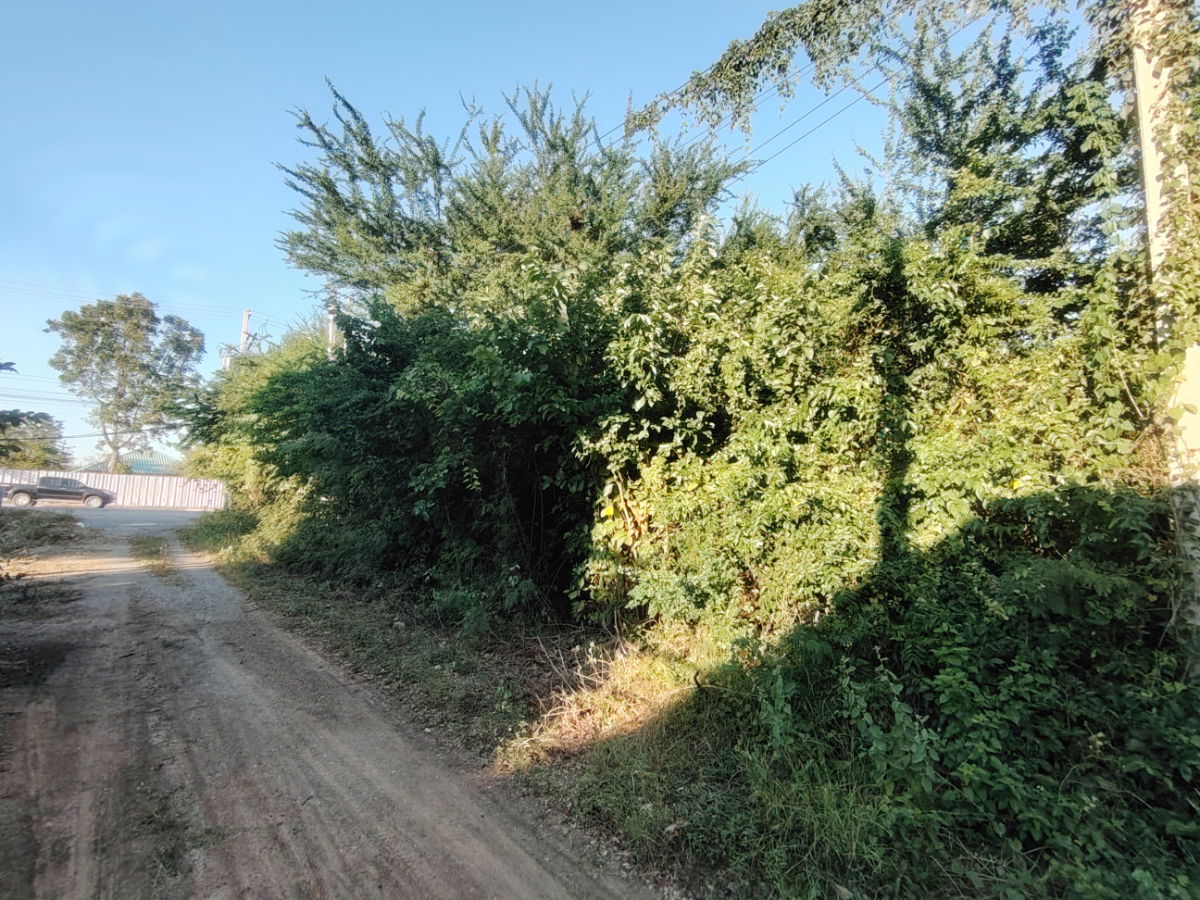 รูป ขายที่ดินแปลงหัวมุมเนื้อที่ 108.5 ตารางวา อยู่ในทำเลดี ห่างจากหาดเขากระโหลกเพียง 168 เมตร! - รูปที่ 5/9