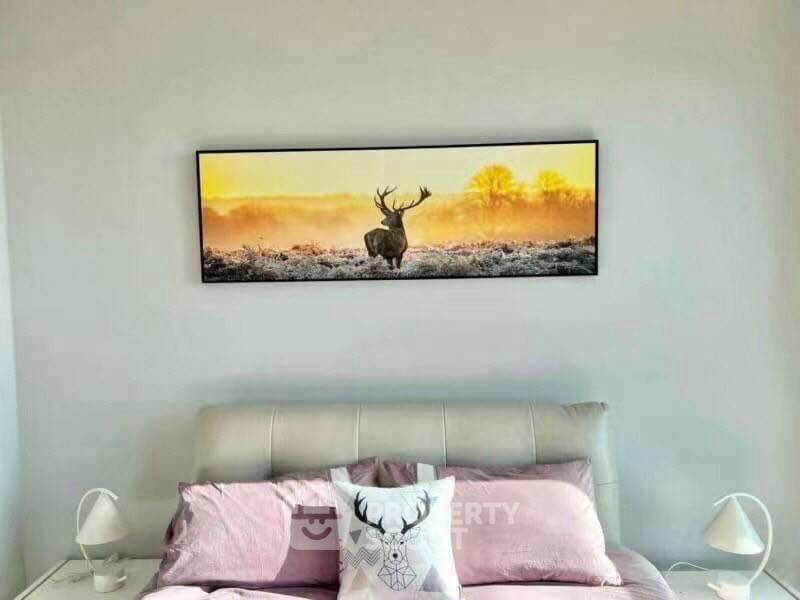 รูป คอนโด 1-ห้องนอน ที่ เดอะ ริเวียร่า จอมเทียน ใกล้ หาดจอมเทียน (ID 2469148) - รูปที่ 2/7