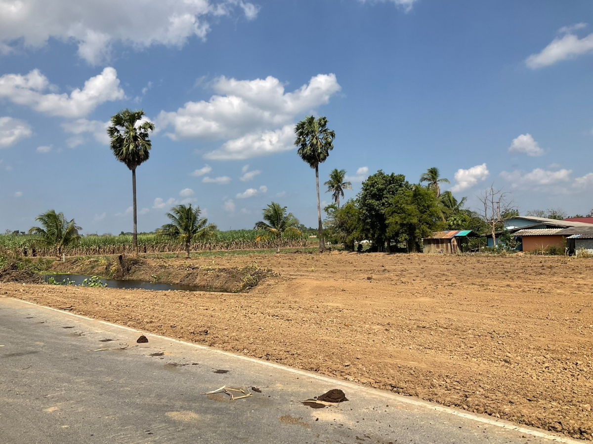 รูป ขายที่ดินติดลาดยาง 100 ตร.ว. เหมาะปลูกบ้าน สองพี่น้อง สุพรรณบุรี - รูปที่ 3/5