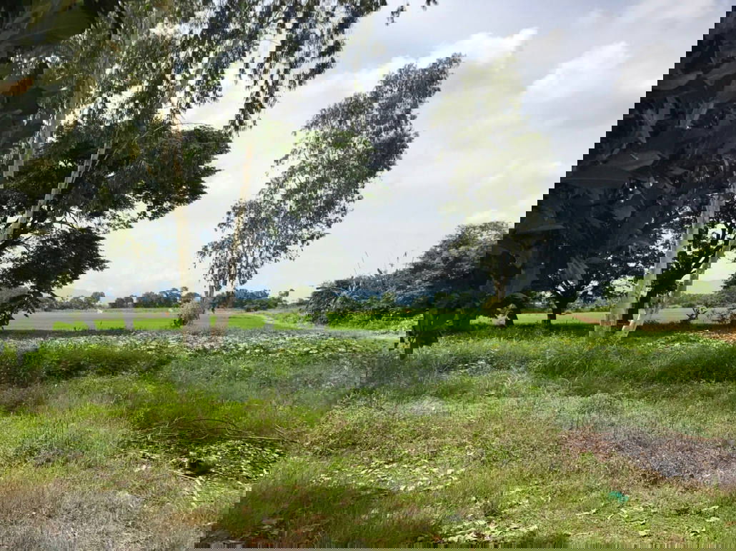 รูป Call : 064-789-4792 ขายทาวน์เฮ้าส์เชียงราย 3 ชั้นครึ่ง 2 คูหา ตีทะลุถึงกันทุกชั้น 62 ตร.วา ติดถนนศรีเวียง อำเภอเวียงชัย เชียงราย - รูปที่ 8/10