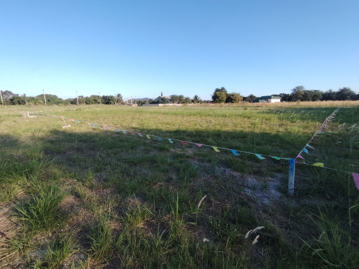 รูป ที่ดินทำเลดี ขนาด 1-0-0  ไร่  ที่ดินแปลงสวย เหมาะสำหรับสร้างบ้าน - รูปที่ 5/9