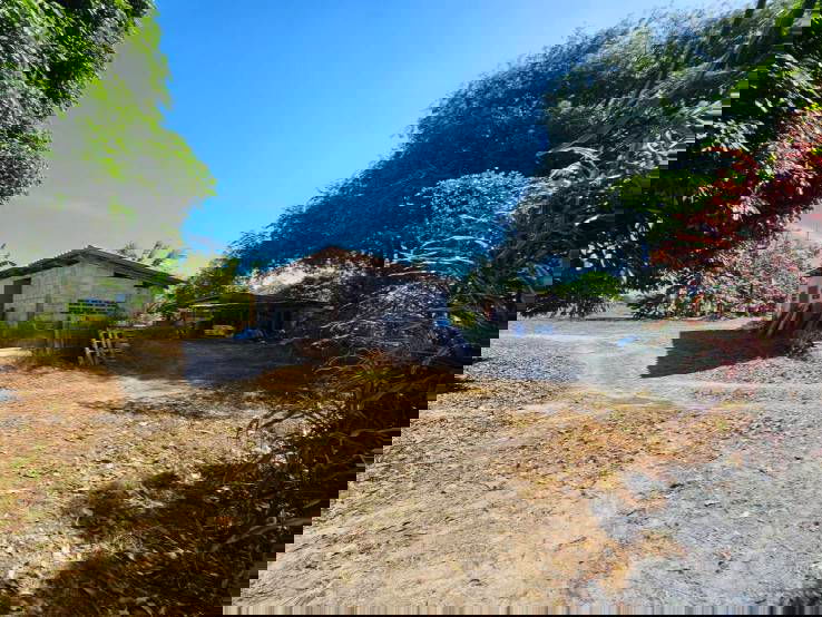 picture Fruit orchard for sale in Khlung  - 10/10