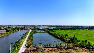 Land for sale Bang Sao Thong Samut Prakarn : Land for sale, 1 rai, Soi Wat Buaroy, Samut Prakan.