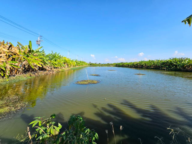 picture Land for sale, 1 rai, Soi Wat Buaroy, Samut Prakan. - 6/9