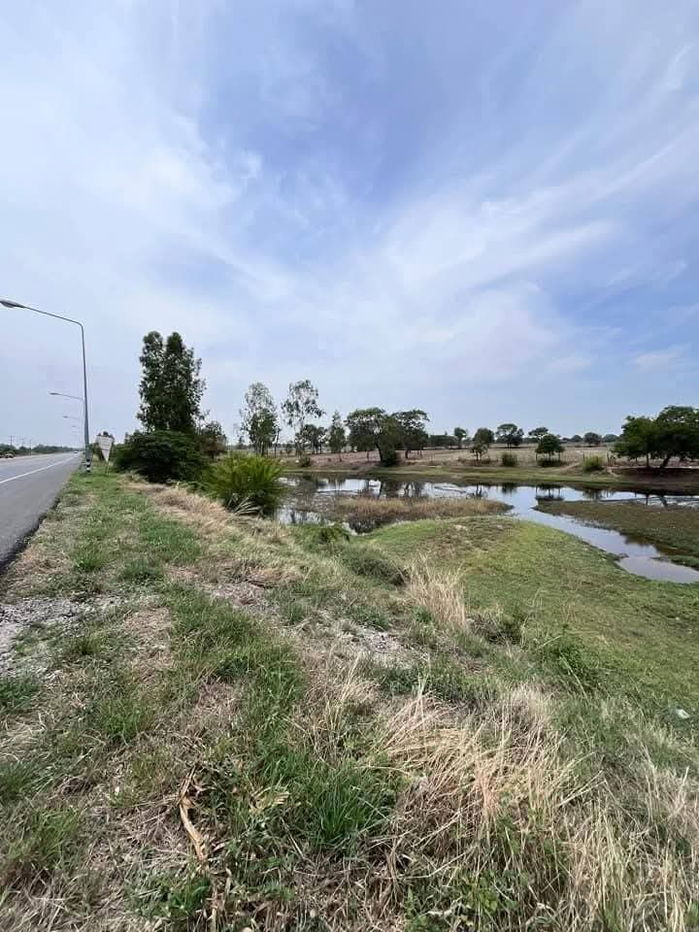 รูป #ขายที่ดินตำบลภารแอ่นอำเภอพยัคฆภูมิจังหวัดมหาสารคาม  ขนาดที่ดิน 36 ไร่ 1 งาน 50 ตารางวา โฉนด  ติดถนนเส้นหลัก2040​ถนนเป็น 4 เลน     - รูปที่ 5/5