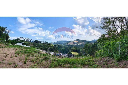 picture [920121060-115] Large Plot of Land with Sea View, Ideal for Investment in Maenam - 9/12